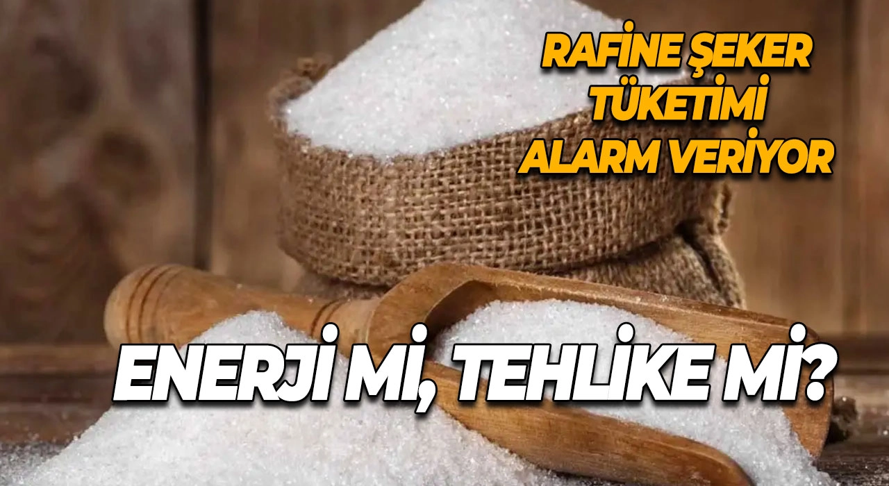 Rafine Şeker Tüketimi Alarm Veriyor Enerji mi, Tehlike mi?