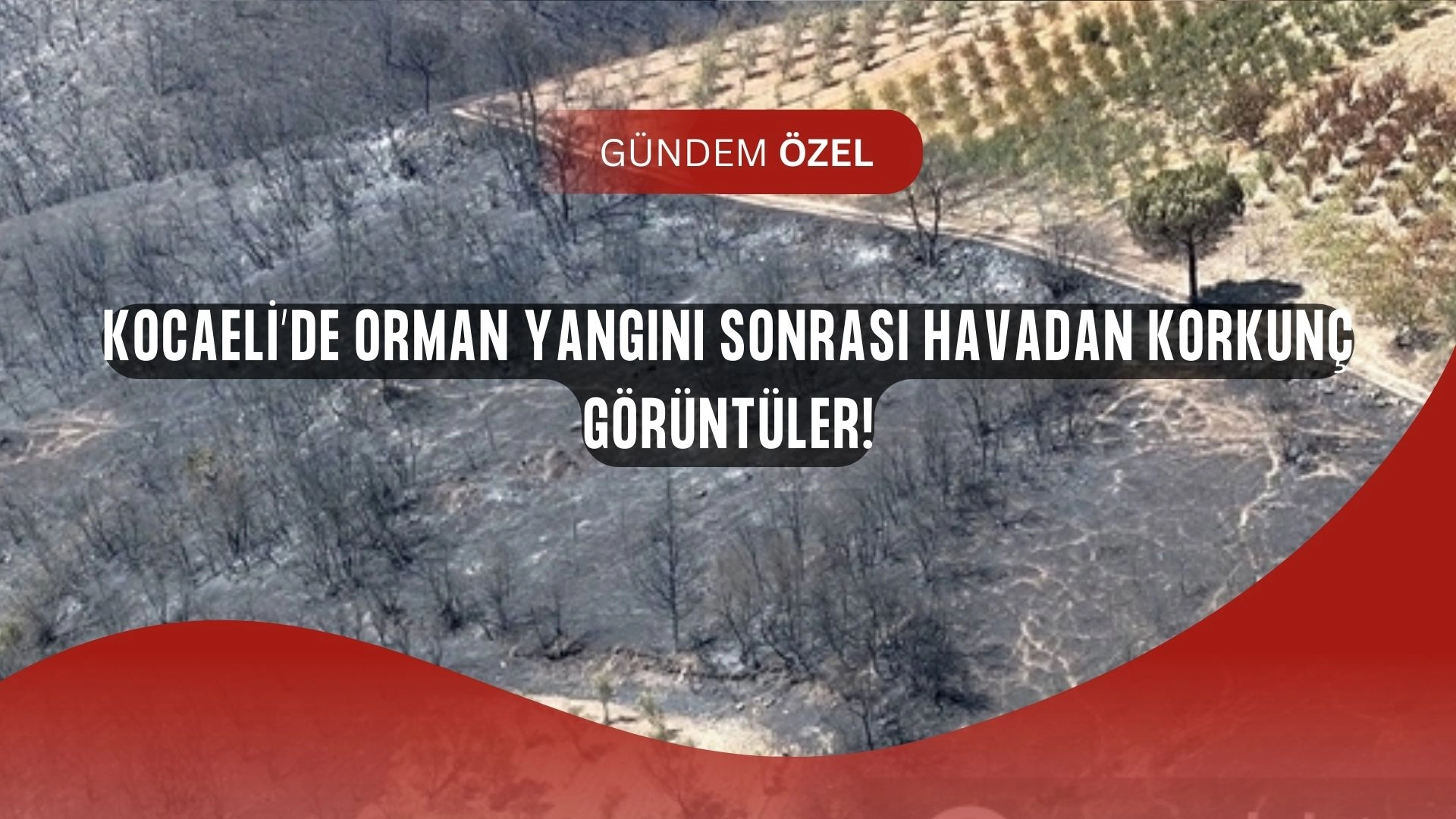 Kocaeli’de Orman Yangını Sonrası ŞOK Görüntüler: Havadan Çekilen Kareler Yürek Burktu!
