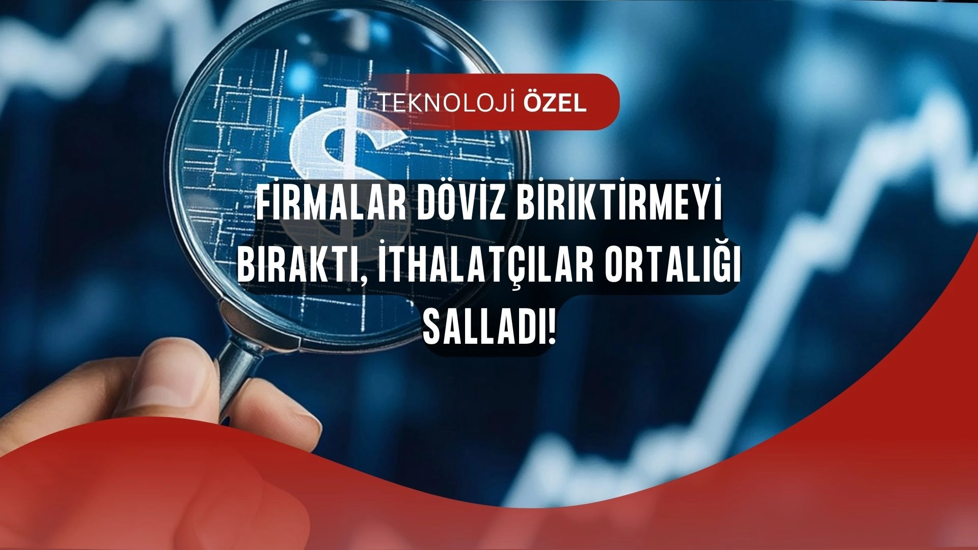 Firmalar Dövizi Boşalttı! TCMB Analizi İthalatçıların Şaşırtan Gerçeğini Ortaya Koydu