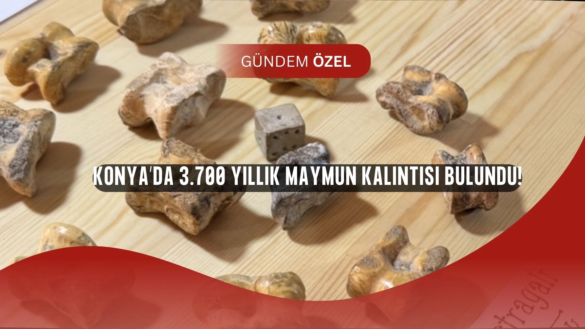 Konya’da inanılmaz keşif: 3.700 yıllık maymun kalıntısı ve 4.000 yıllık mühür bulundu!