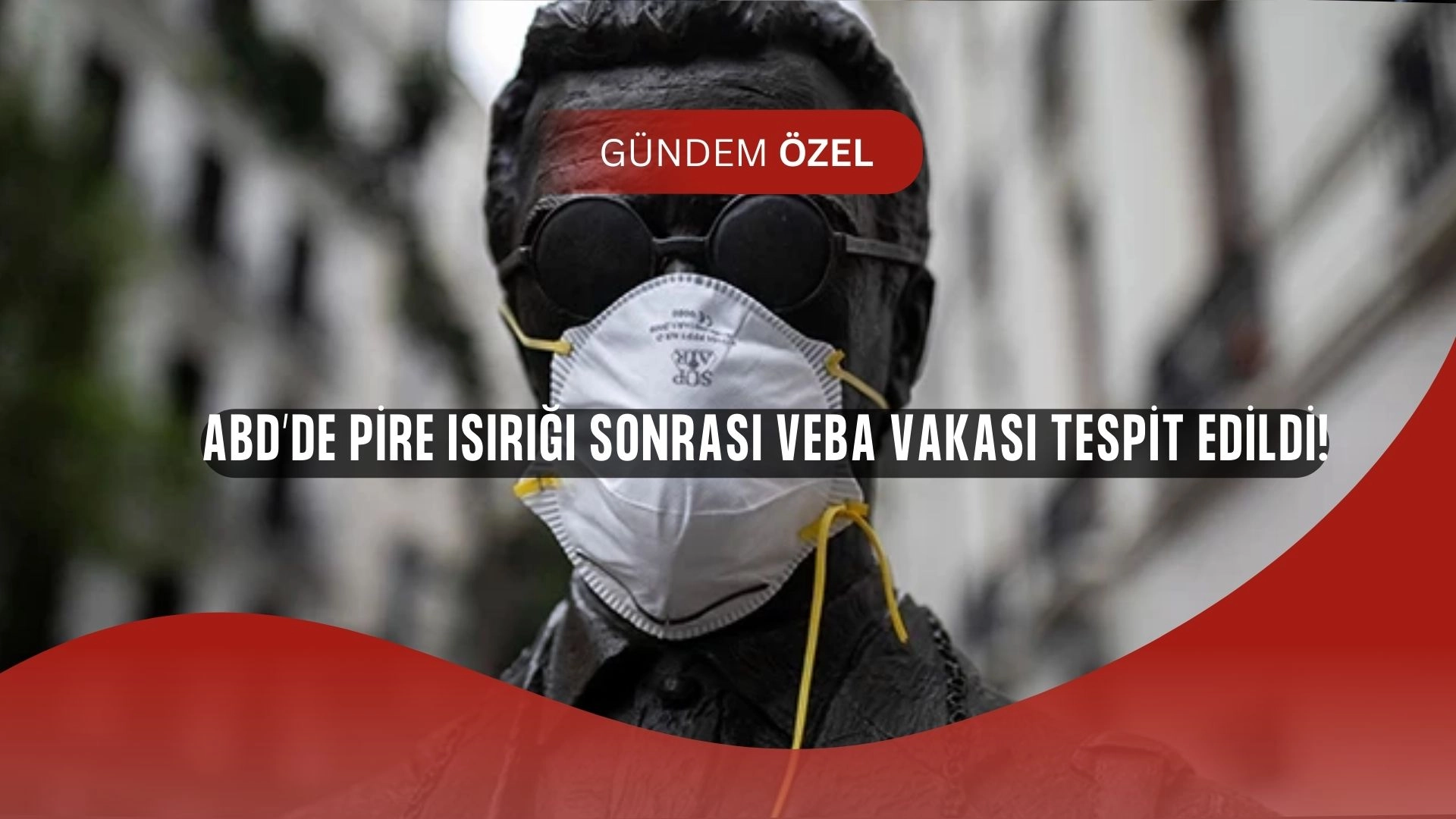 ABD’de korkutan vaka: Kampçıya pire ısırdı, veba geri döndü!