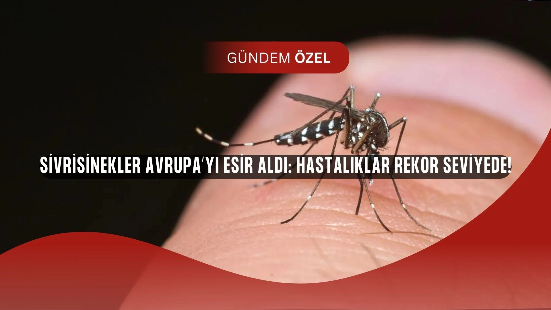Avrupa’yı kasıp kavuran görünmez tehdit: Sivrisinekler ölüm saçıyor!