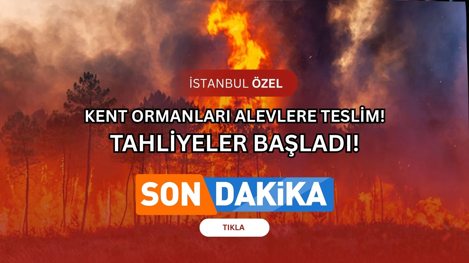 Sultangazi’de Orman Yangını Panik Yarattı! Alevler Kontrolden Çıktı! (İŞTE DETAYLAR)