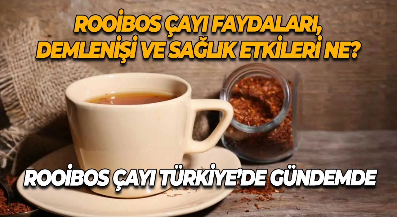 Rooibos Çayı Türkiye’de Gündemde Rooibos Çayı Faydaları, Demlenişi ve Sağlık Etkileri Ne?