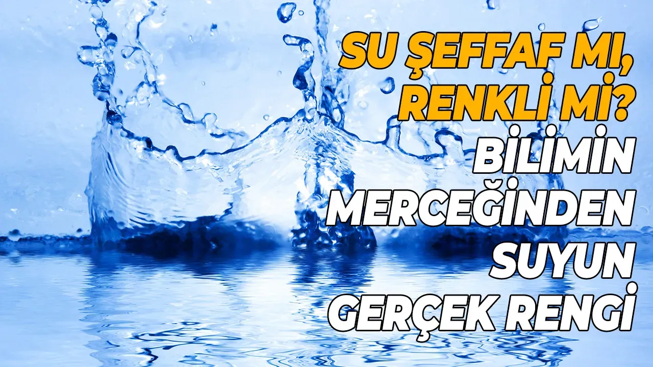 Image for Suyun Rengi Nedir? Su Şeffaf mı Mavi mi?