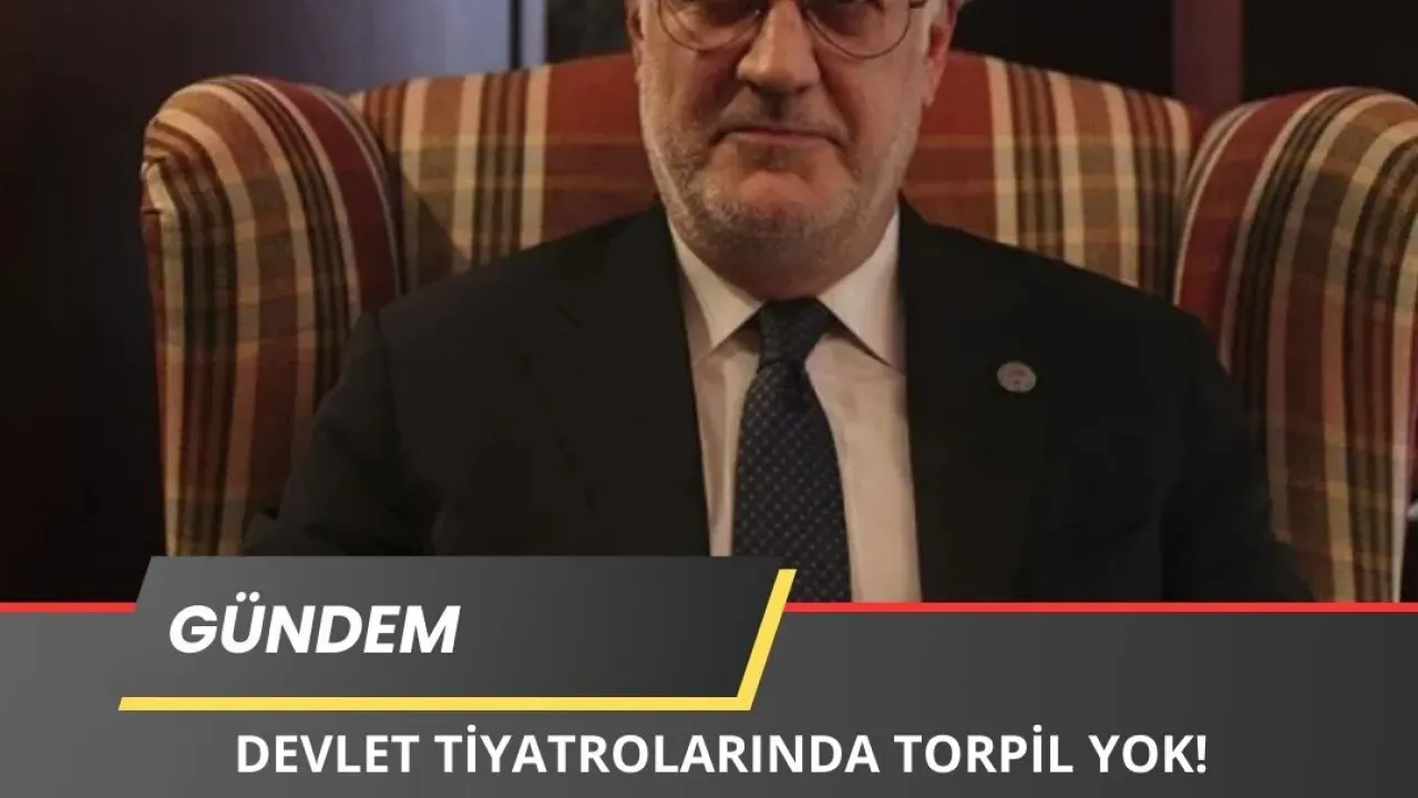 Image for Tamer Karadağlı: Gezi'ye Ben De Gittim!