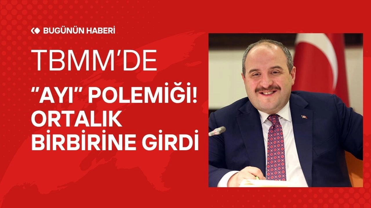 TBMM'de Zeytinlik Tartışması! Vekiller Arasında "Ayı" Polemiği, Genel Kurul Gerildi!