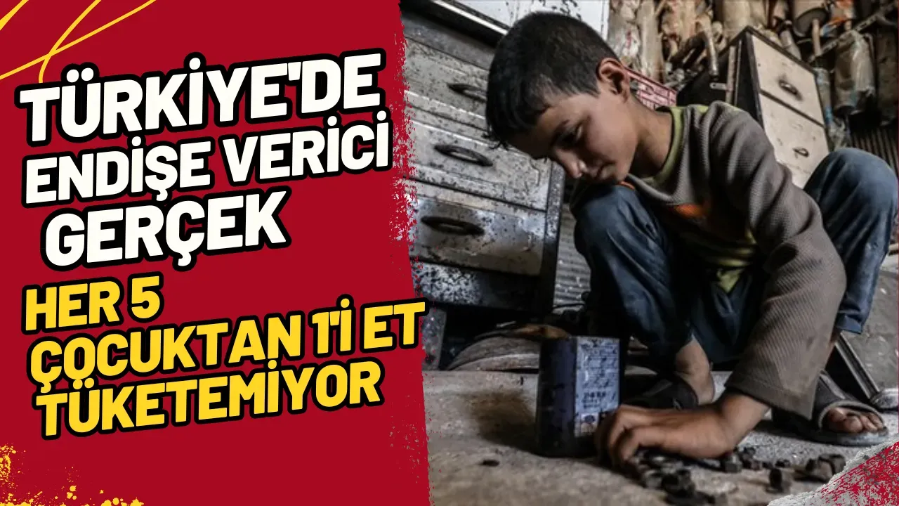 Image for Türkiye'de Endişe Verici Gerçek Her 5 Çocuktan 1'i Et Tüketemiyor