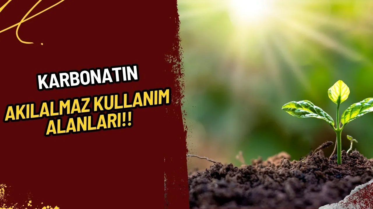 Bahçenizin Gizli Kahramanı: Karbonatın Akılalmaz Kullanım Alanları!