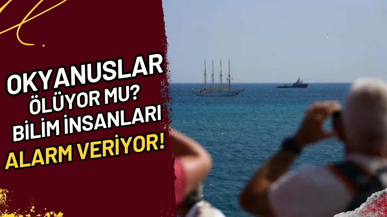 Okyanuslar Ölüyor mu? Bilim İnsanları Alarm Veriyor!