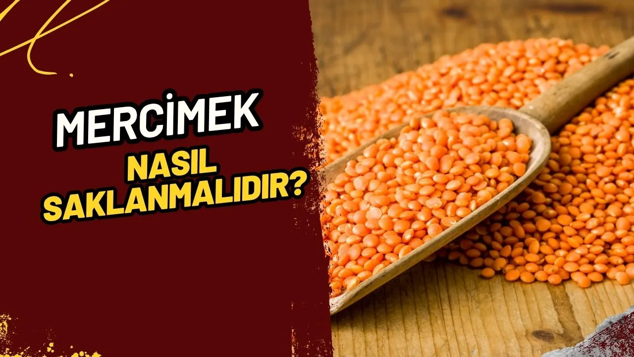 Mercimek Nasıl Saklanır? Böceklenmesi Nasıl Engellenir? Taptaze Mercimek İçin İpuçları!
