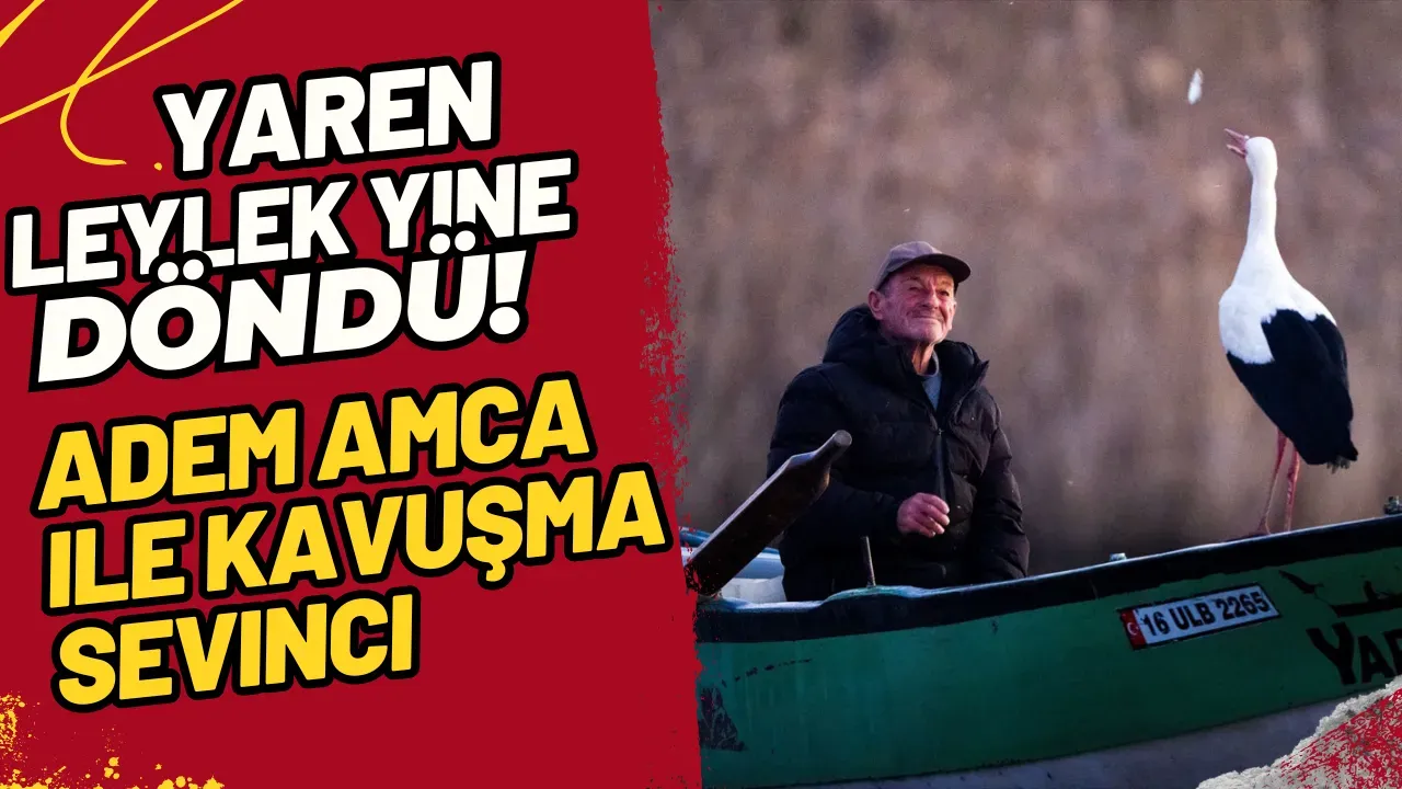Image for Yaren Leylek Yine Döndü! Adem Amca ile Kavuşma Sevinci