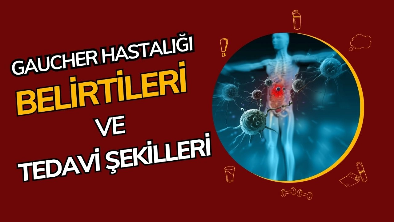 Gaucher Hastalığı Nedir? Belirtileri, Teşhisi ve Tedavisi
