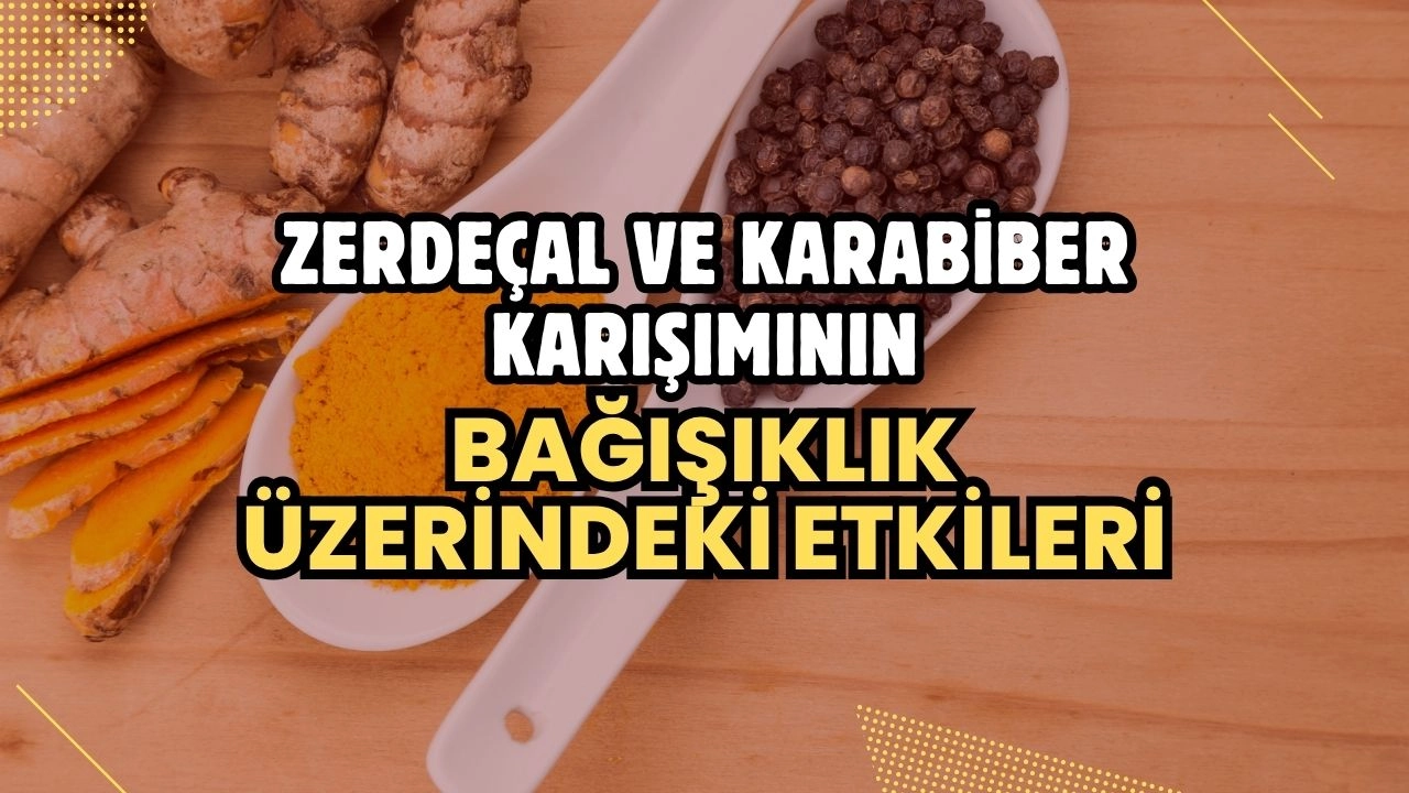 Zerdeçal ve Karabiber Karışımının Bağışıklık Üzerindeki Etkileri