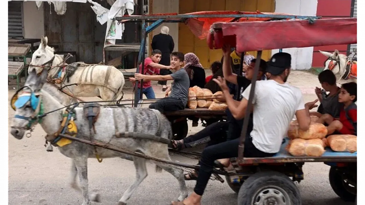 Gazze'de Araçların Yerini Eşek Arabaları Aldı