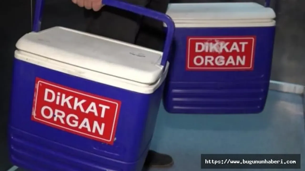 Türkiye'de Kadavradan Organ Nakli Oranı Düştü