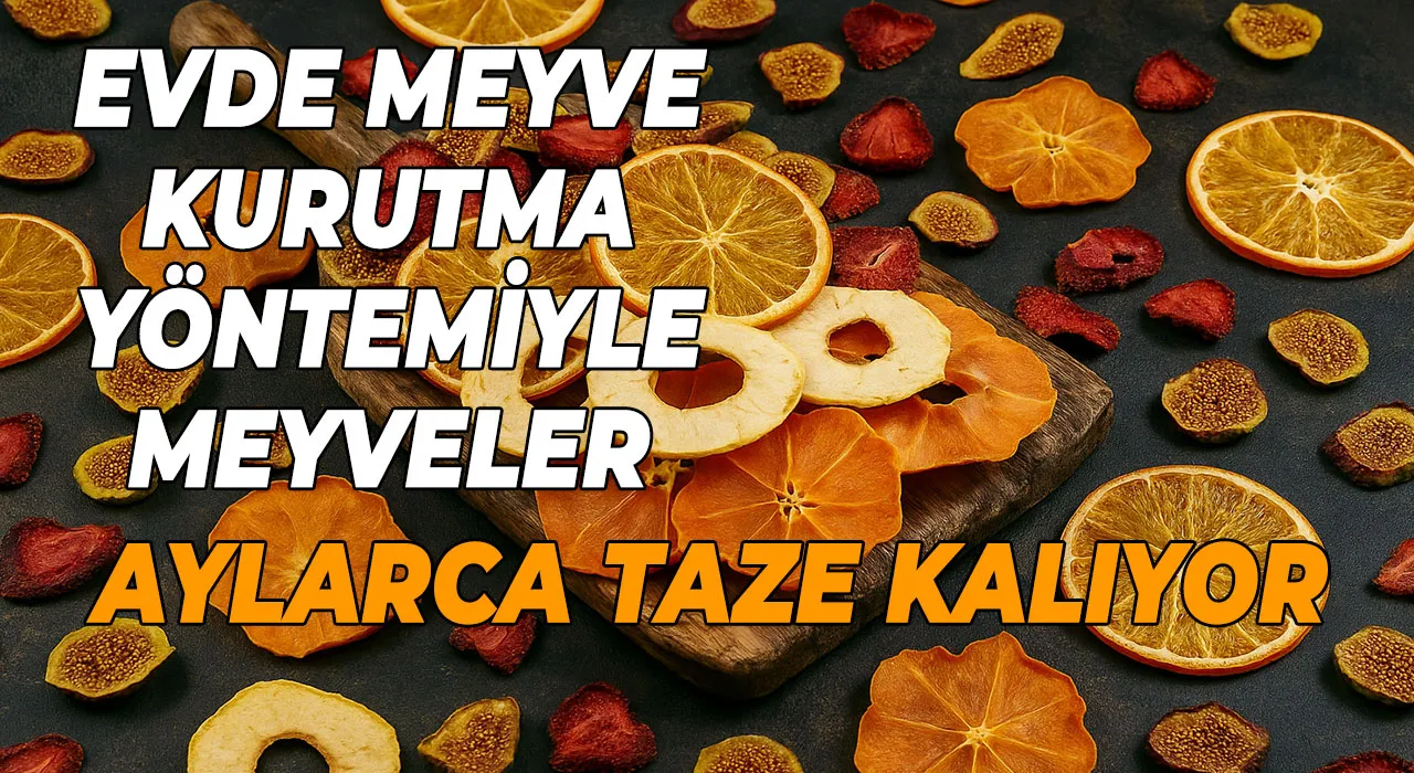 Evde meyve kurutma yöntemiyle meyveler aylarca taze kalıyor