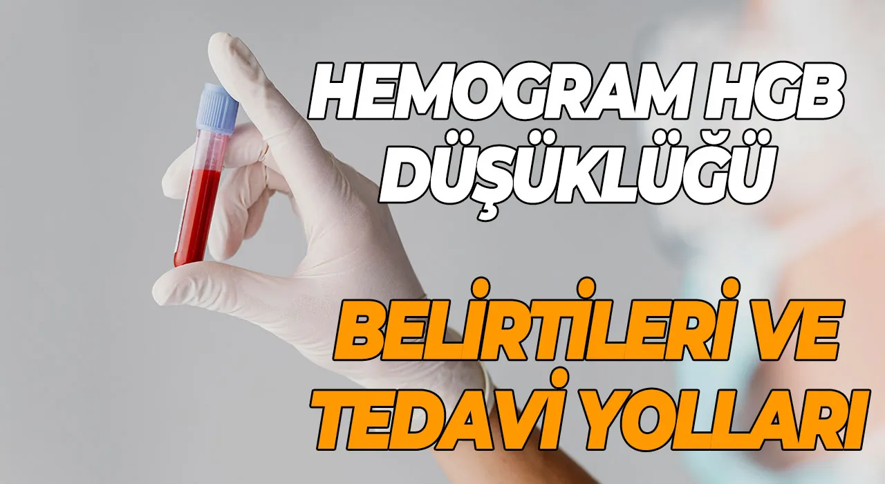 Hemogram Hgb Düşüklüğü nedir? Hemogram Hgb Düşüklüğü Belirtileri ve Tedavi Yolları