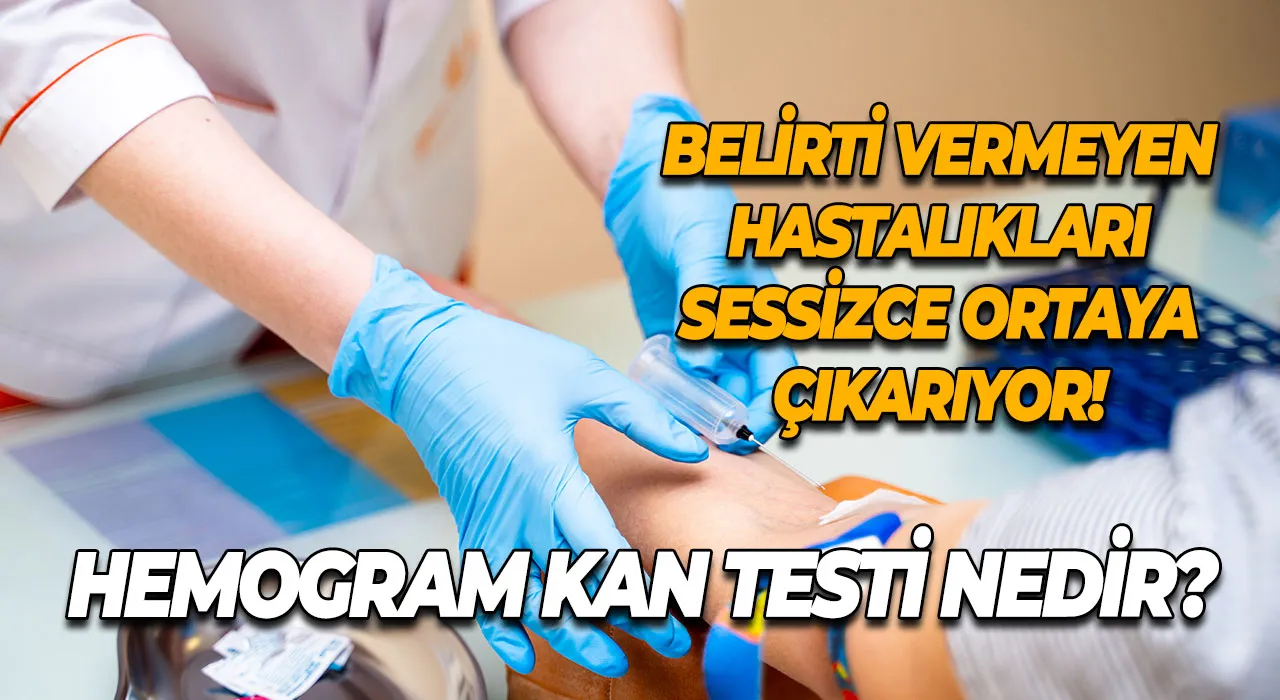 Hemogram Kan Testi Nedir? Belirti Vermeyen Hastalıkları Sessizce Ortaya Çıkarıyor!