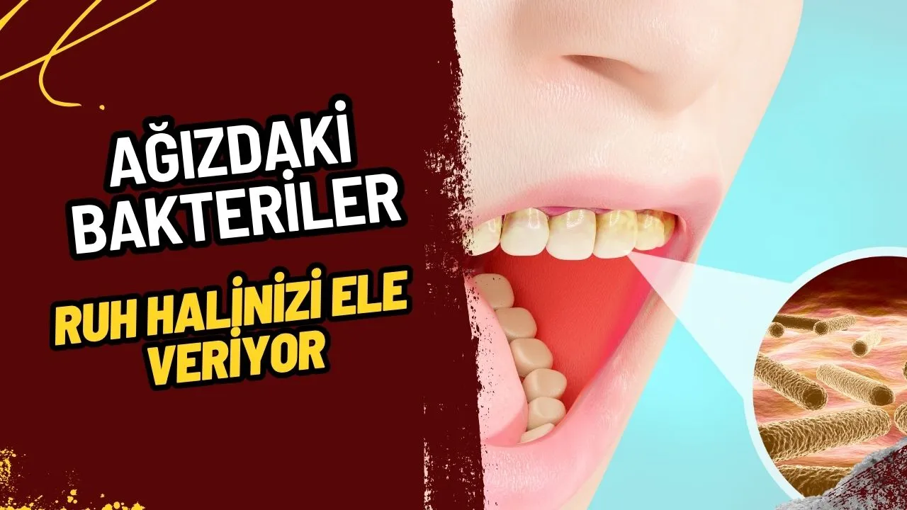 Kadir Suresi (İnna Enzelna): Okunuşu, Türkçe Anlamı, Faziletleri ve Sırları