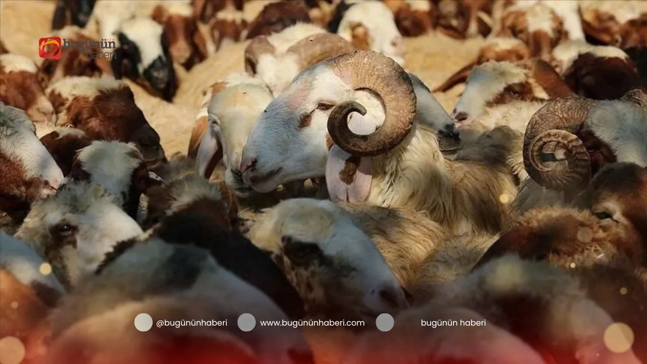 Kurban Bayramı 2025 Tatili Ne Zaman? Kaç Gün Sürecek?