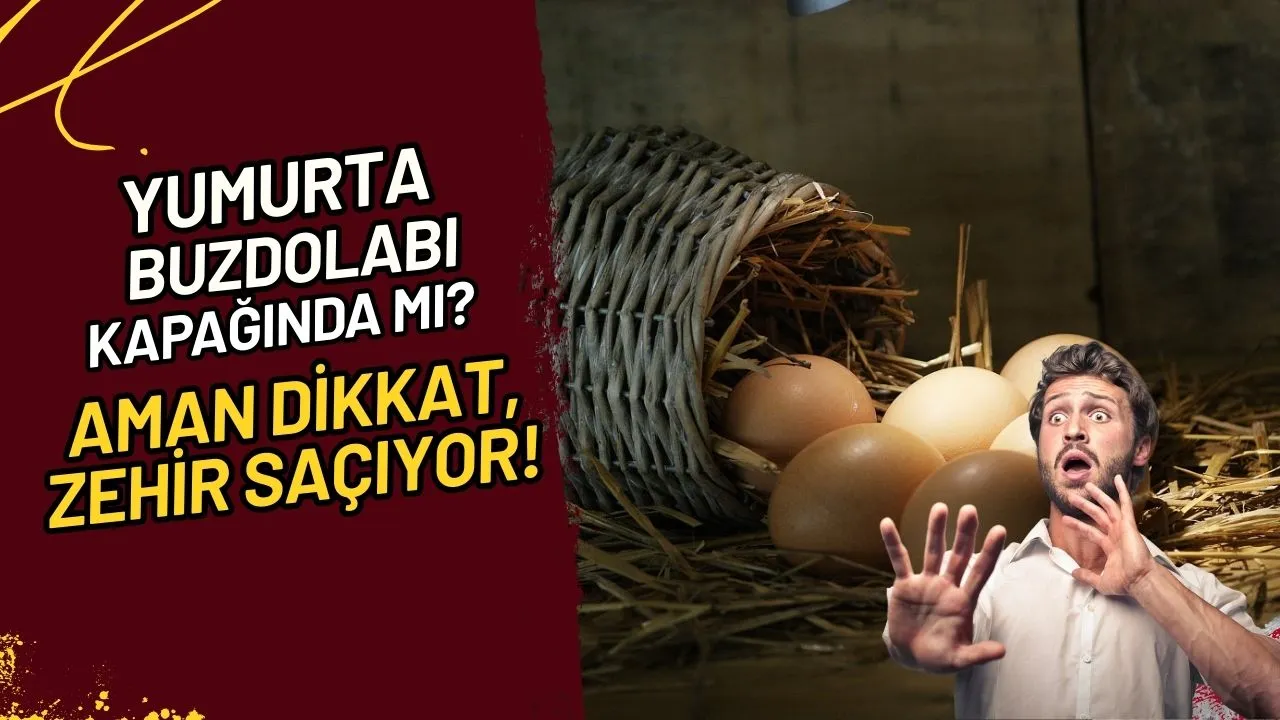 Yumurta Buzdolabı Kapağında Mı? Aman Dikkat, Zehir Saçıyor!