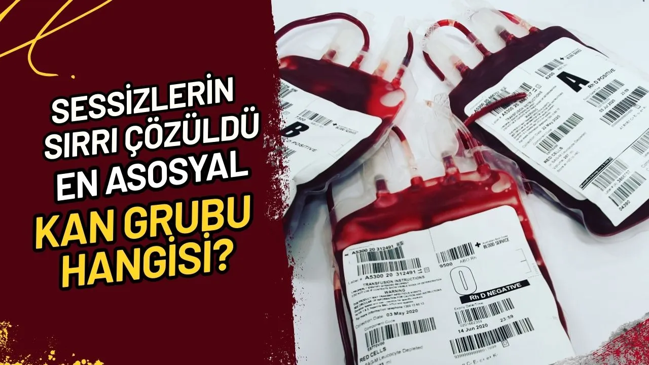 Sessizlerin Sırrı Çözüldü En Asosyal Kan Grubu Hangisi?
