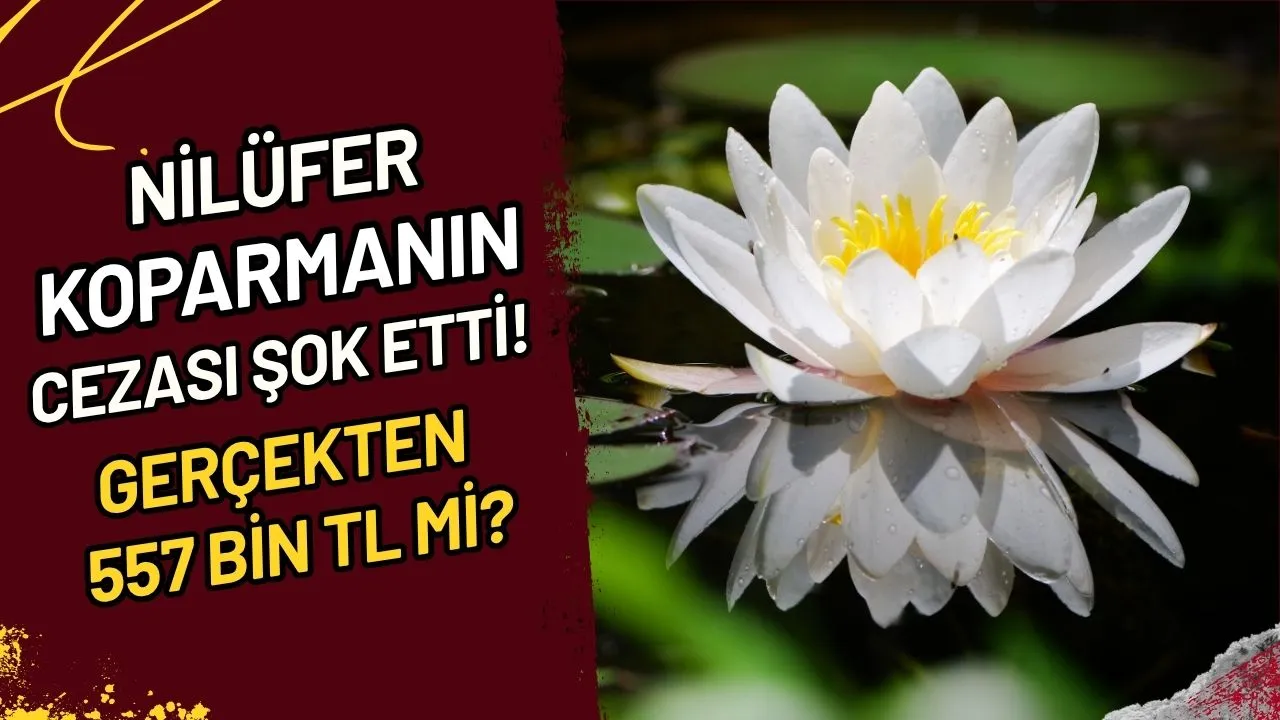 Altın Alarmı Düşüş Geliyor? Yatırımcı Ne Yapmalı?