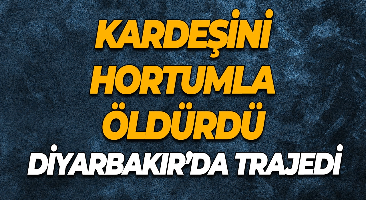 AJet Kabin Memuru Maaşları 2025! Havacılık Sektöründe Cazip Kariyer Fırsatı!