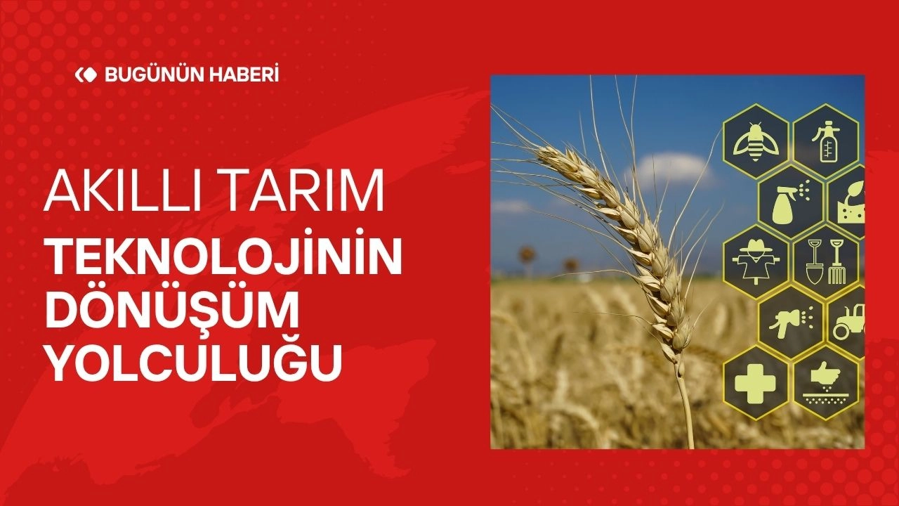 Tarımdaki Son Gelişmeler! Akıllı Tarım Uygulamaları ve Verimlilik