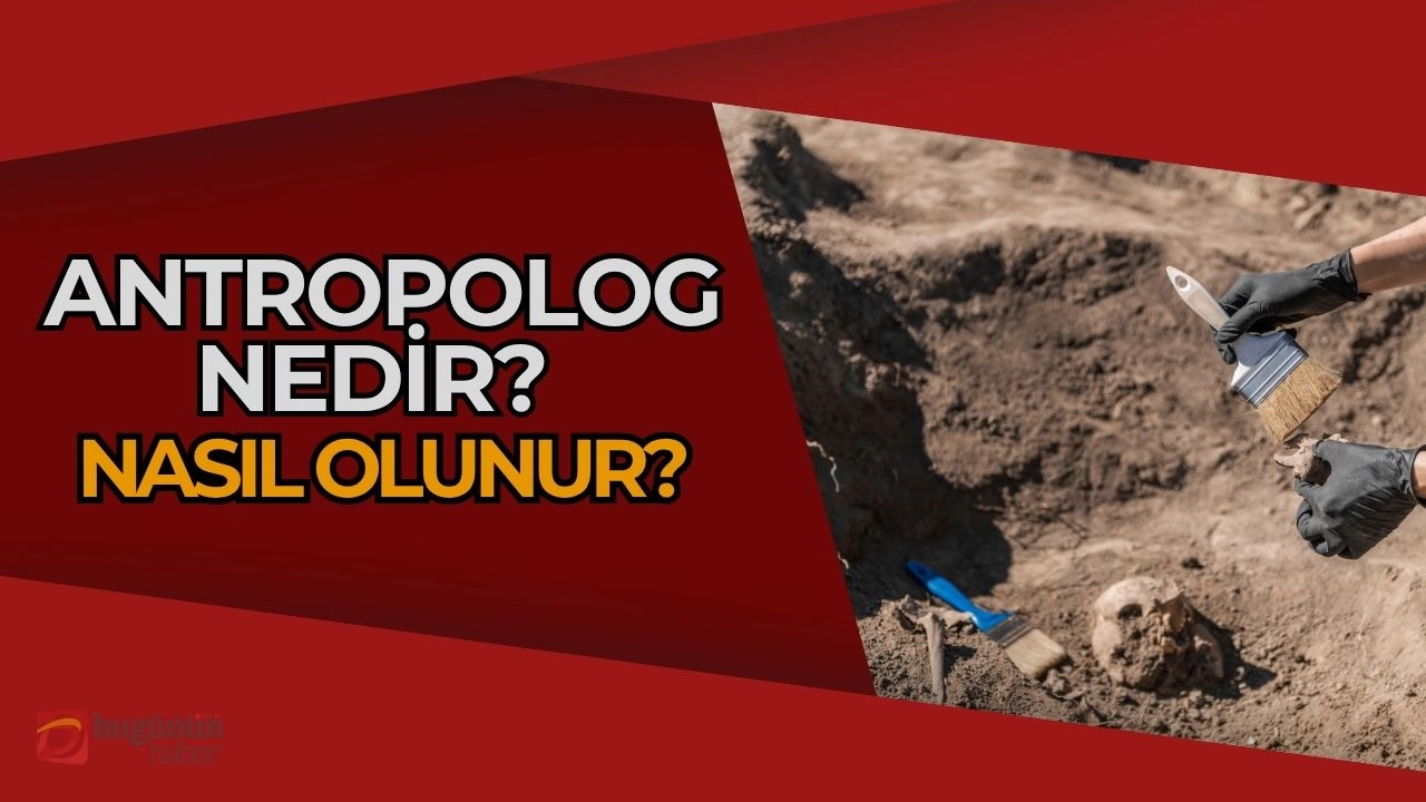 Antropolog Nedir? Nasıl Olunur? İnsanlığın Gizemlerini Keşfetmenin Yolları!