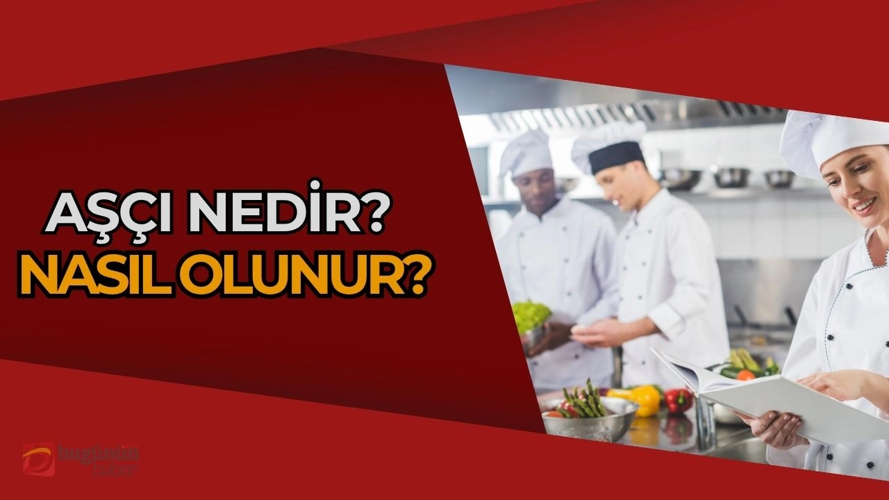 Aşçı Nedir? Nasıl Olunur? Mutfakların Sanatçıları!