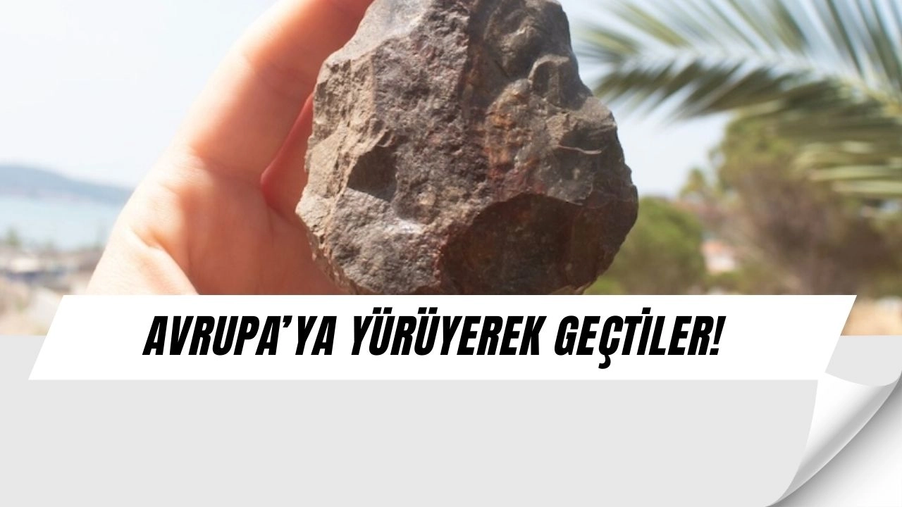 Ayvalık’tan Avrupa’ya Yürüyerek Geçmiş Olabilirler: İnsanlık Tarihinde Şok Keşif! 