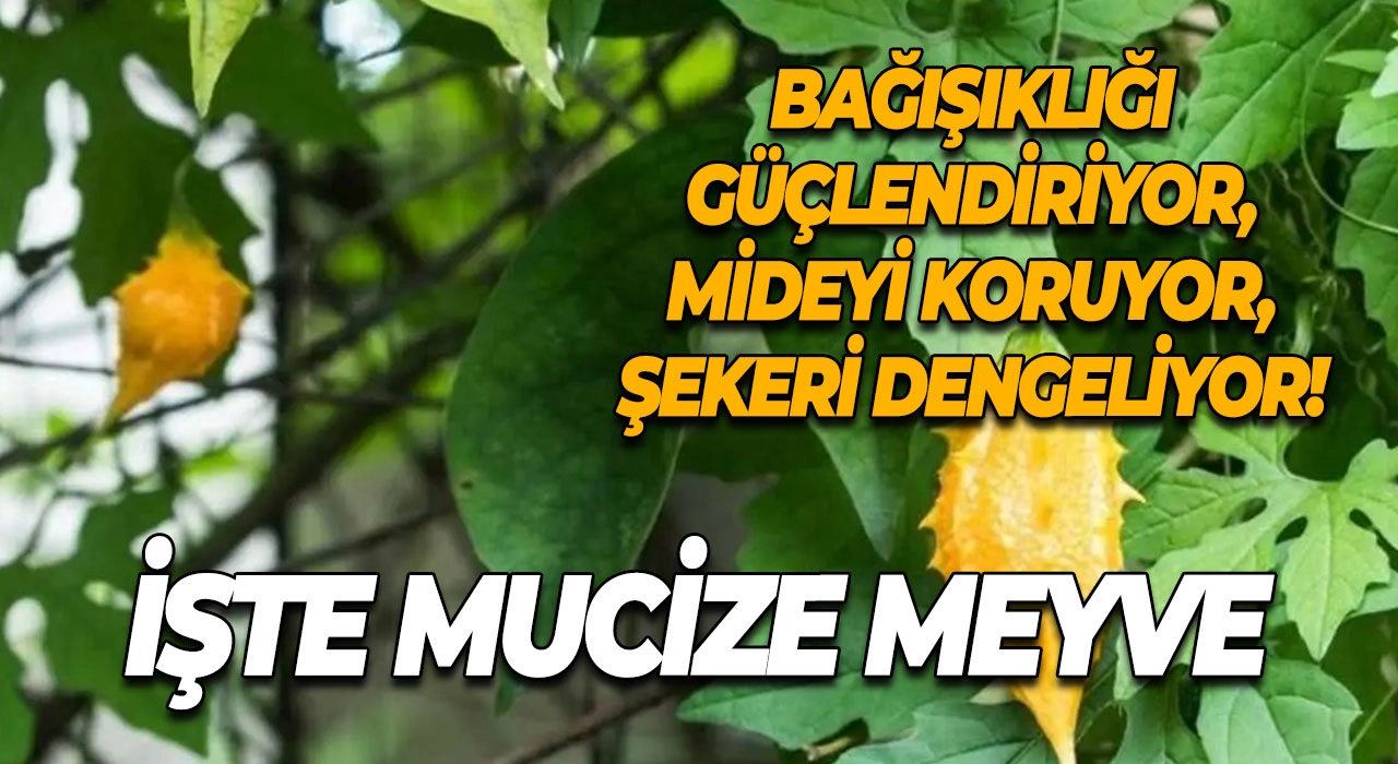 Bağışıklığı Güçlendiriyor, Mideyi Koruyor, Şekeri Dengeliyor! İşte Mucize Meyve