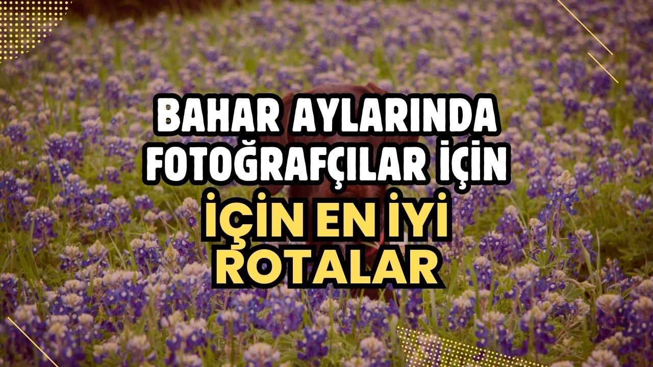 Bahar Aylarında Fotoğrafçılar İçin En İyi Rotalar
