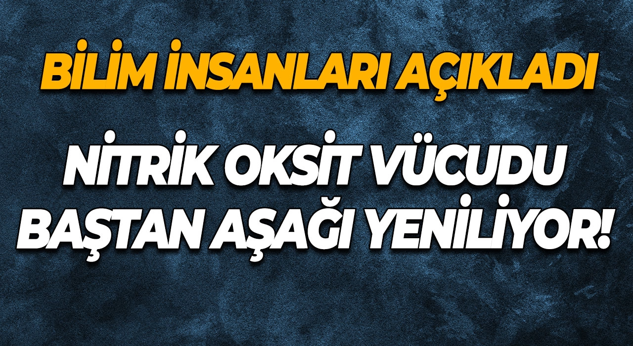 Bilim İnsanları Açıkladı Nitrik Oksit Vücudu Baştan Aşağı Yeniliyor!