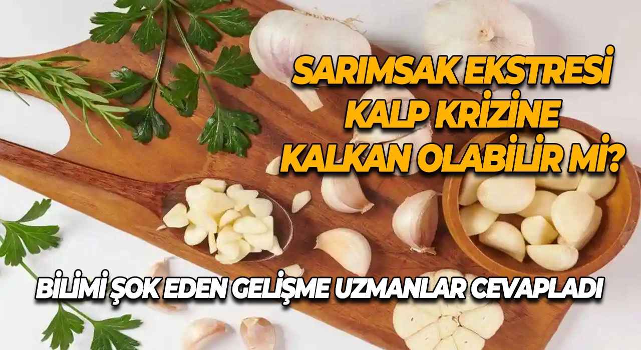 Bilimi Şok Eden Gelişme Uzmanlar Cevapladı Sarımsak Ekstresi Kalp Krizine Kalkan Olabilir mi?