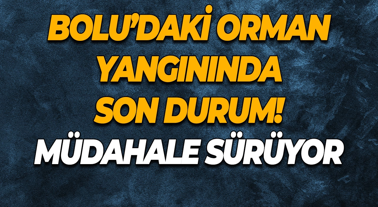 Bolu’daki Orman Yangınında Son Durum! Ekipler Gece Boyu Mücadelede