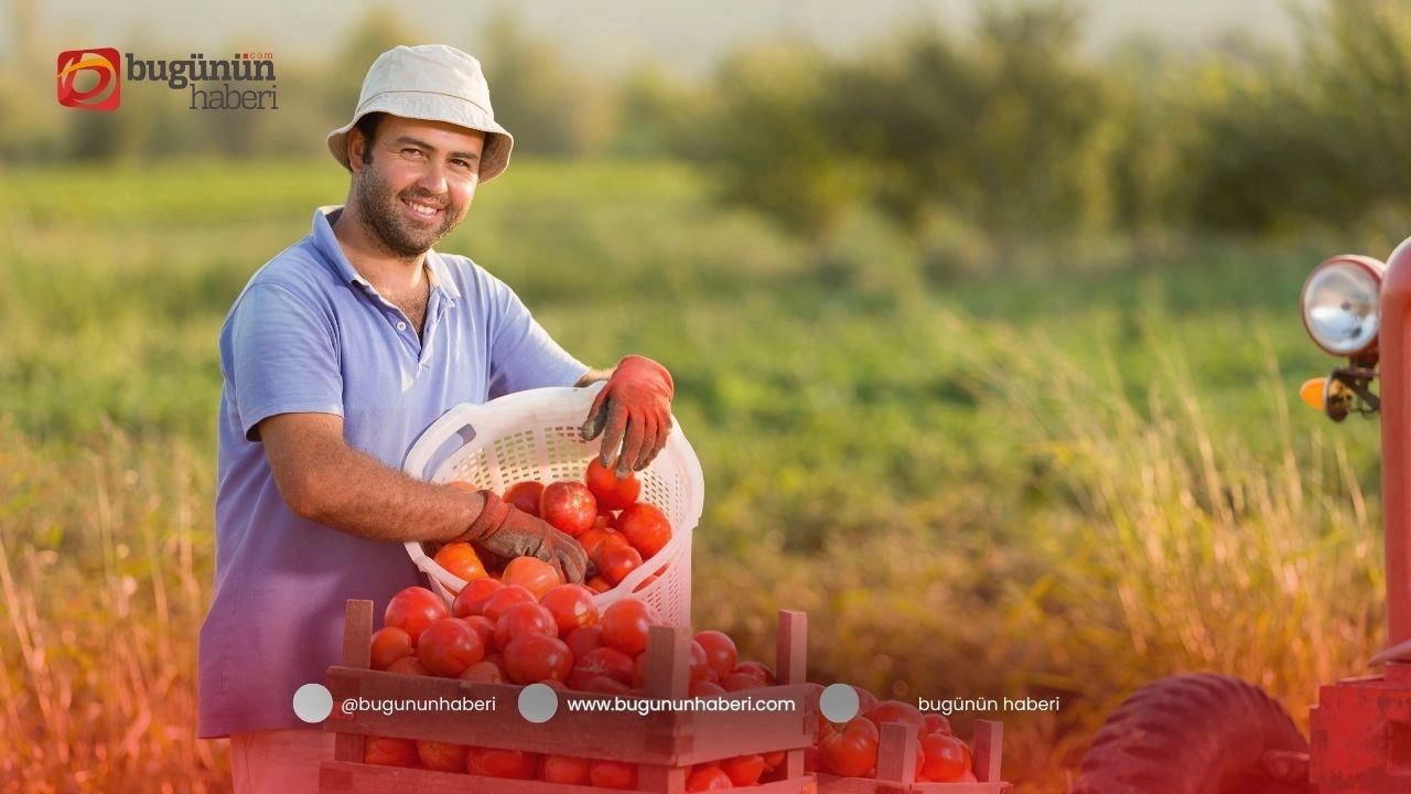 Çiftçiler İçin Devlet Destekli Krediler