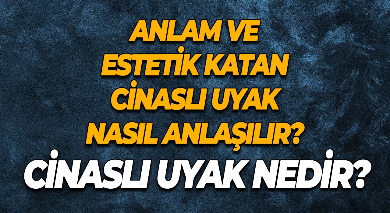 Cinaslı Uyak Nedir? Anlam ve Estetik Katan Cinaslı Uyak Nasıl Anlaşılır?