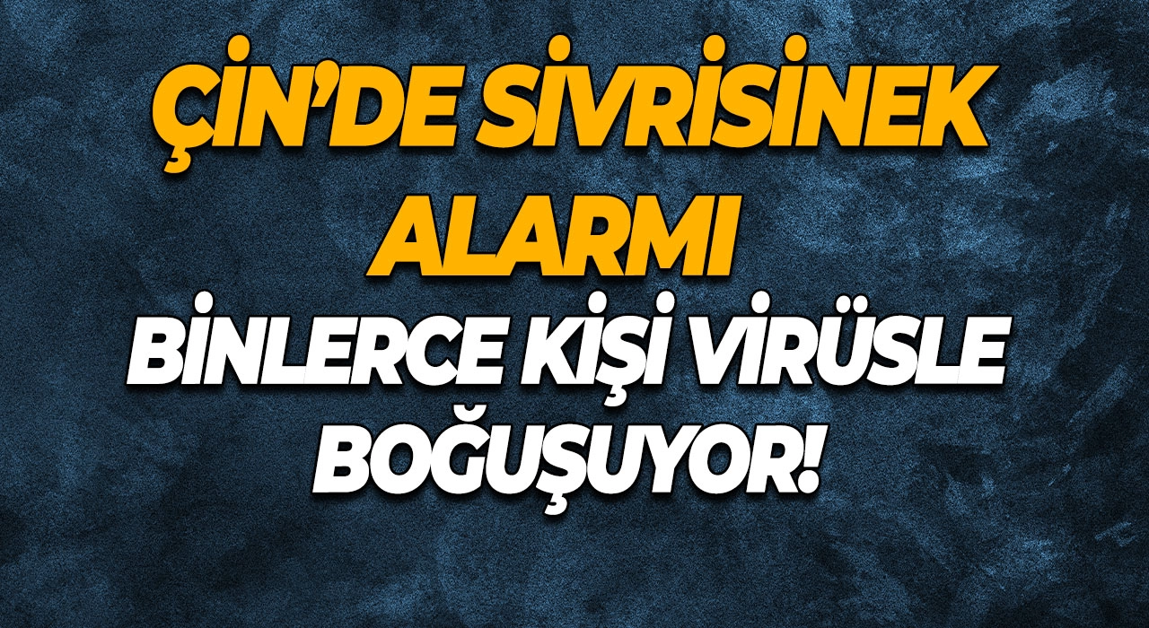 Çin’de Sivrisinek Alarmı Binlerce Kişi Virüsle Boğuşuyor!