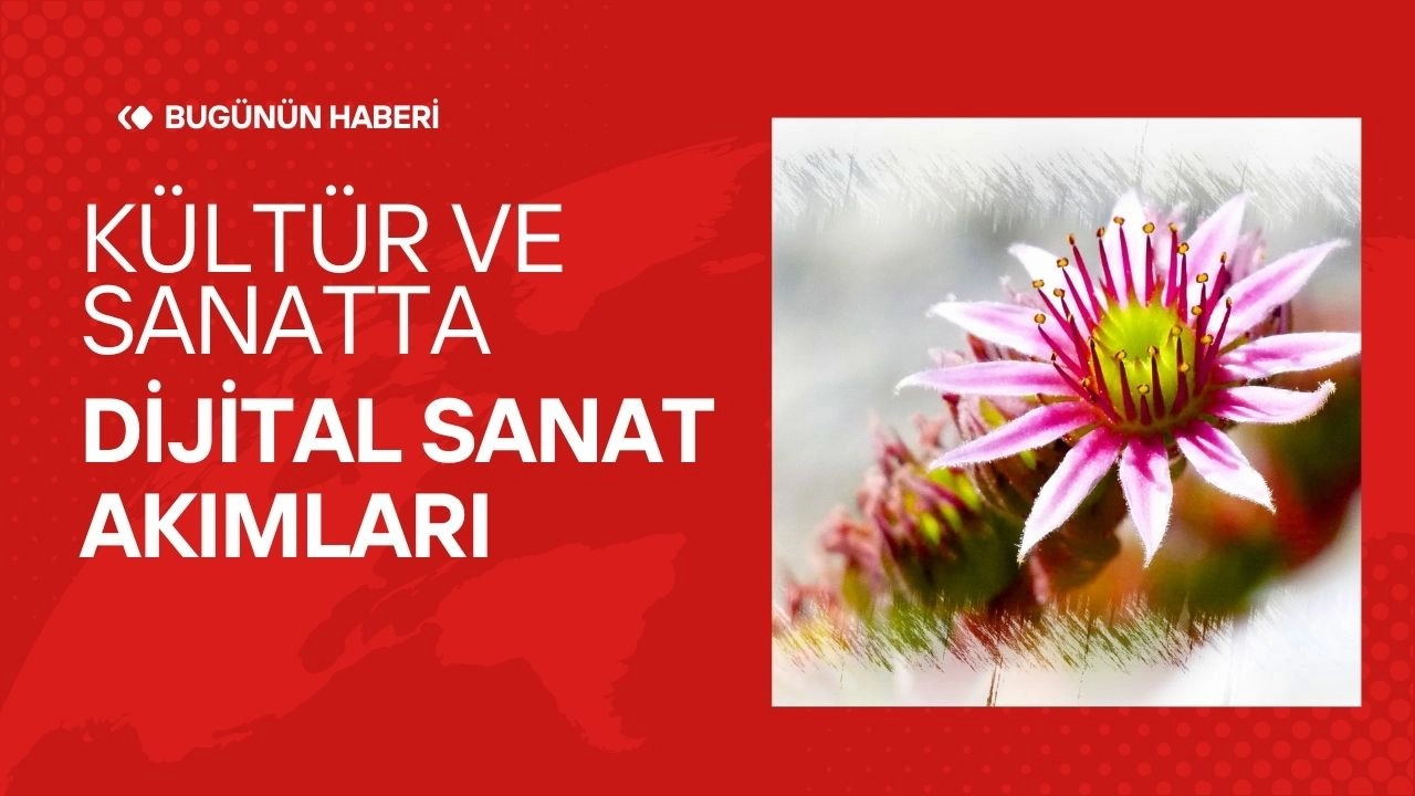 Kültür ve Sanattaki Son Gelişmeler! Dijital Sanat Akımları 