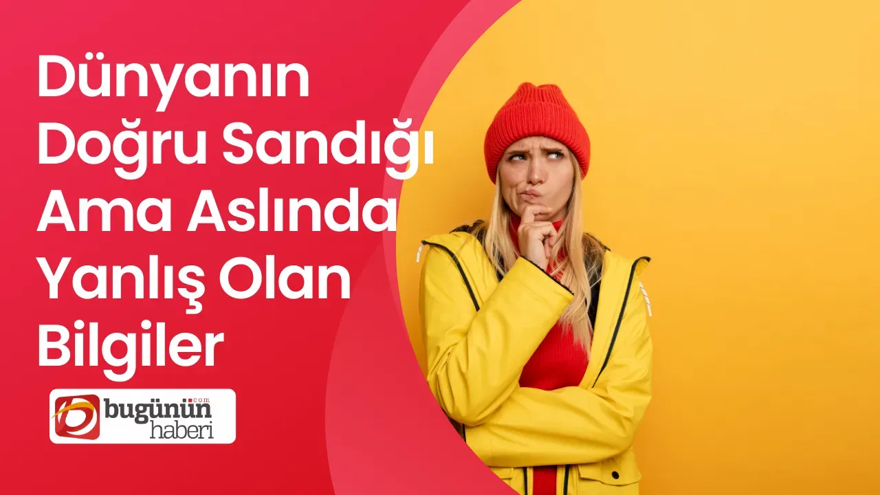 Dünyanın Doğru Sandığı Ama Aslında Yanlış Olan Bilgiler