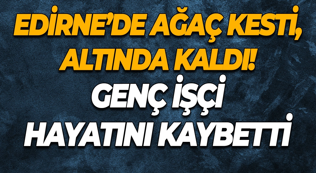 Edirne’de ağaç kesti, altında kaldı! Genç işçi hayatını kaybetti