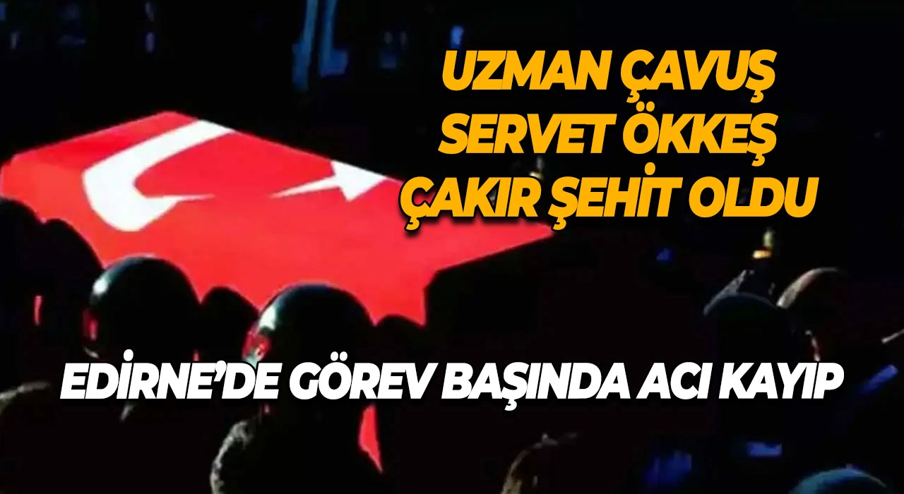 Dikkat Ehliyet Sahipleri! İptal Tehlikesi Kapıda: Son Başvuru Tarihi Yaklaşıyor!