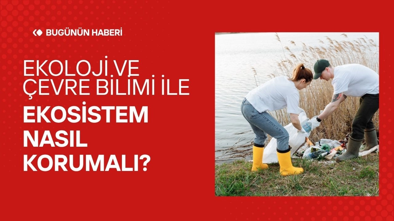 Ekoloji ve Çevre Bilimi! Ekosistem Nasıl Korumalı?