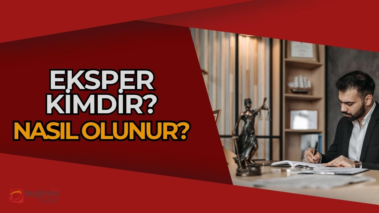 Eksper Nedir, Nasıl Olunur? Alanında Uzmanlaşmış Güvenilir Değerlendiriciler!