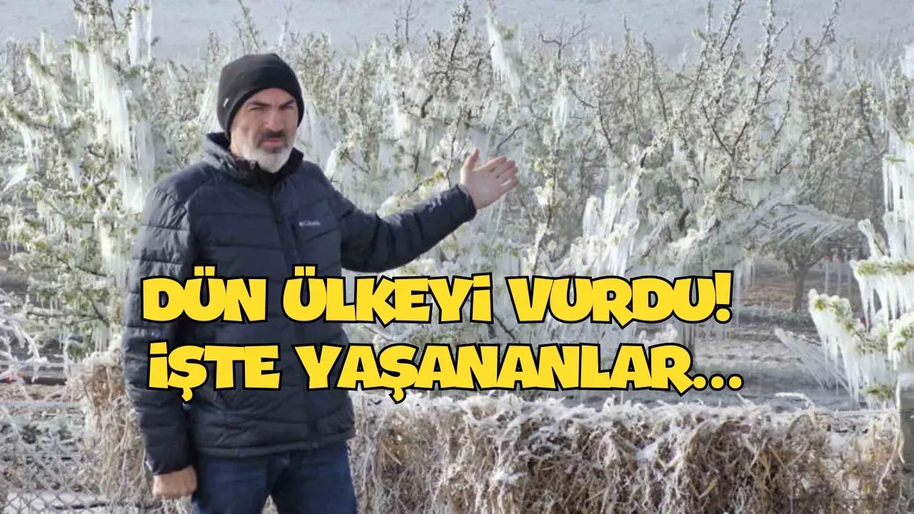 Elma Bahçelerinde Korkunç Manzara! Milyonlarca Ağaç Buzla Kaplandı!