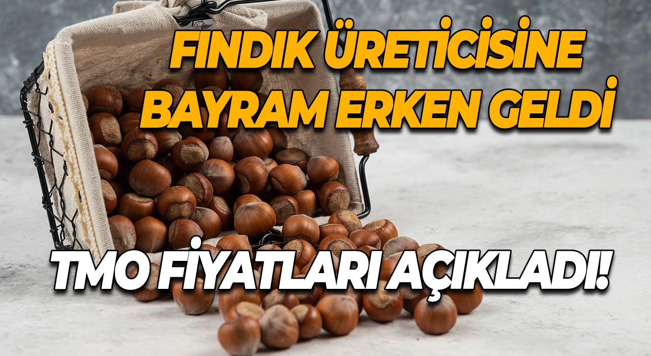 Fındık Üreticisine Bayram Erken Geldi TMO Fiyatları Açıkladı!
