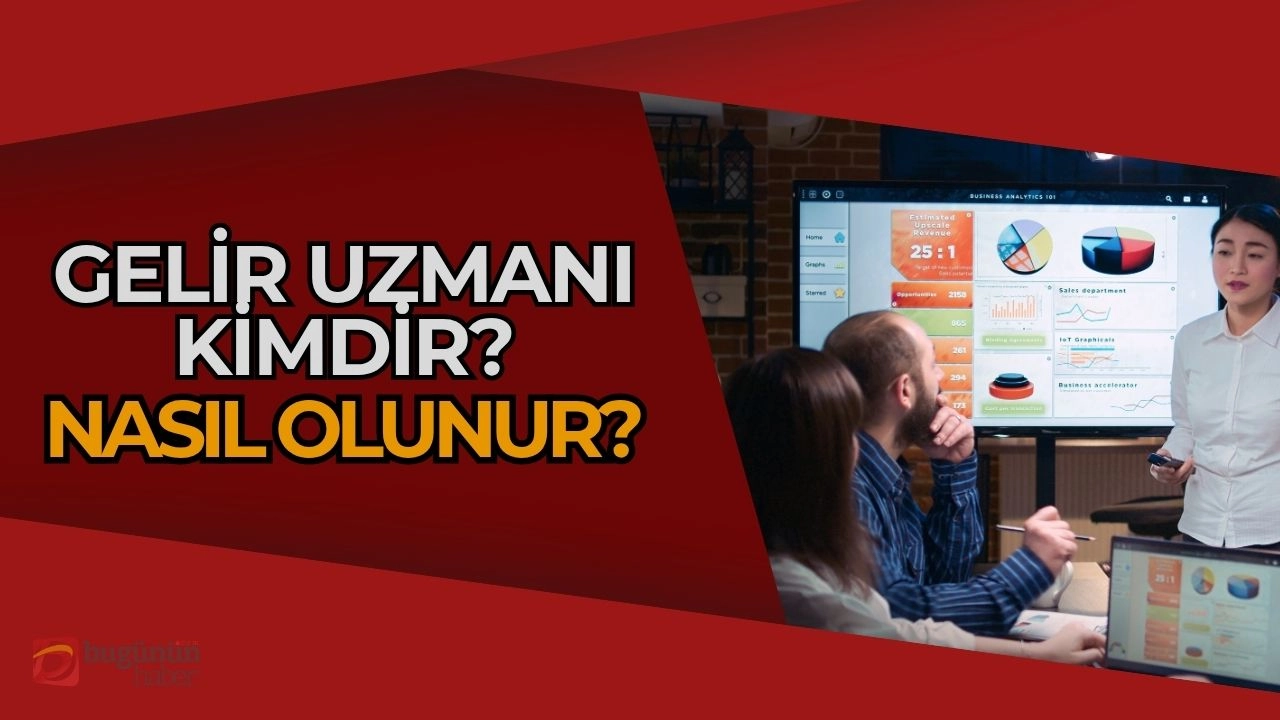 Gelir Uzmanı Nedir, Nasıl Olunur? Finans Dünyasının Gizli Kahramanları!